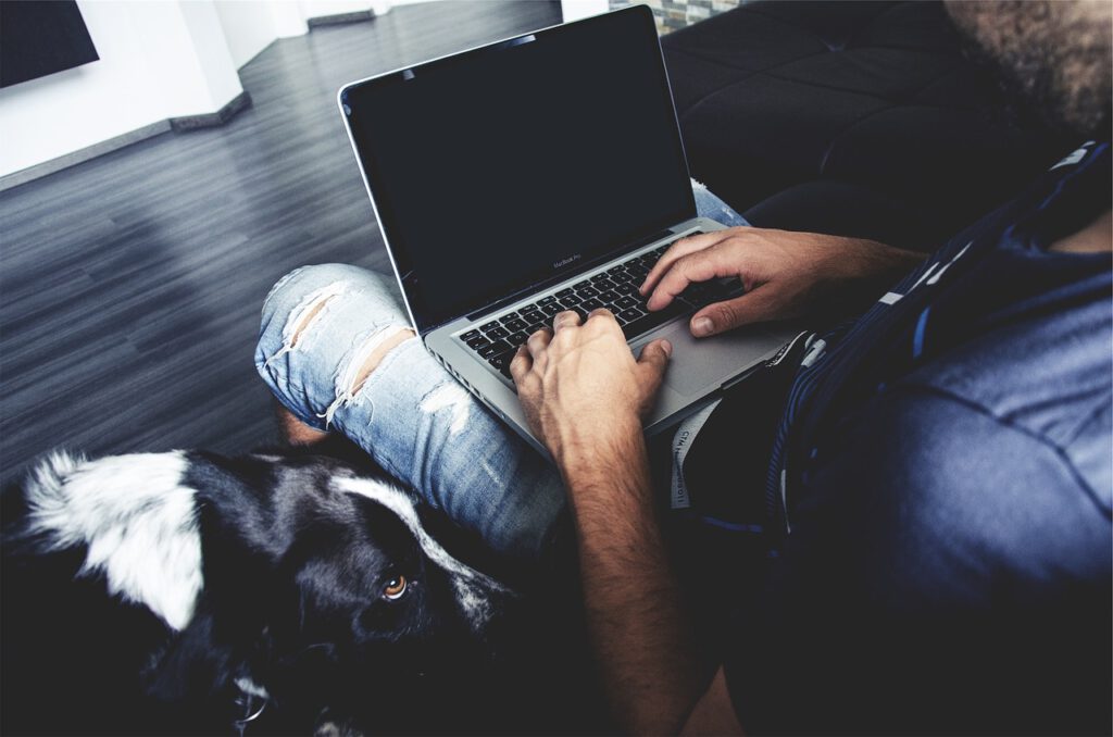 Arbeit mit Hund