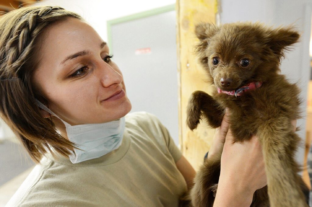 Tierarzt Hund